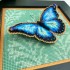 Набор для вышивания в смешанной технике на пластиковой канве VOLOSHKA YuMI_052 Синяя Бабочка Набор для вышивания в смешанной технике на пластиковой канве VOLOSHKA YuMI_052 Синяя Бабочка