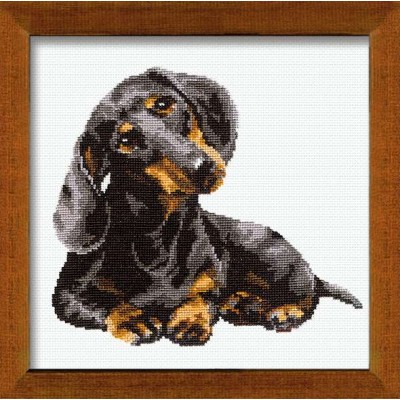 Набір для вишивання Riolis 0906 Такса