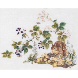 Набор для вышивки крестом Thea Gouverneur 1071 Squirrel