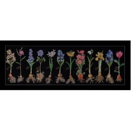 Набір для вишивання хрестиком Thea Gouverneur 1087.05 Bulbs (Black Aida) Набір для вишивання хрестиком Thea Gouverneur 1087.05 Bulbs (Black Aida)