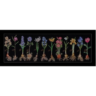 Набір для вишивання хрестиком Thea Gouverneur 1087.05 Bulbs (Black Aida) Набір для вишивання хрестиком Thea Gouverneur 1087.05 Bulbs (Black Aida)