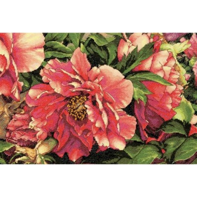 Набор для вышивки крестиком Dimensions 70-35298 Coral Peonies