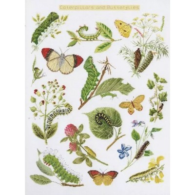 Набор для вышивки крестом Thea Gouverneur 587A Caterpillars & Butterflies (Aida)