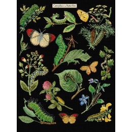 Набір для вишивання хрестиком Thea Gouverneur 587.05 Caterpillars & Butterflies (Black Aida) Набір для вишивання хрестиком Thea Gouverneur 587.05 Caterpillars & Butterflies (Black Aida)