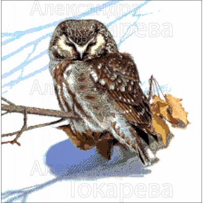 Авторский набор для вышивки бисером Токарева А. 37-1711-НС Сова Авторский набор для вышивки бисером Токарева А. 37-1711-НС Сова
