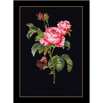 Набір для вишивання хрестиком Thea Gouverneur 2030.05 Rose Redouté (Black Aida) Набір для вишивання хрестиком Thea Gouverneur 2030.05 Rose Redouté (Black Aida)