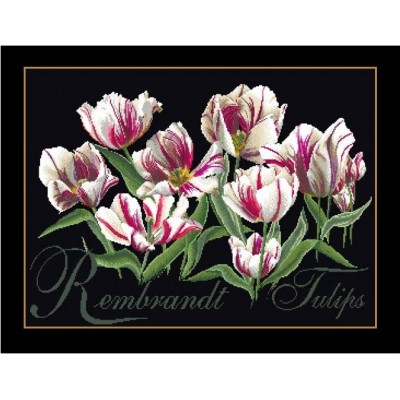 Набор для вышивки крестом Thea Gouverneur 447.05 Rembrandt Tulips (Black Aida) Набор для вышивки крестом Thea Gouverneur 447.05 Rembrandt Tulips (Black Aida)
