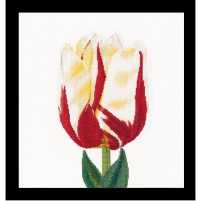 Набор для вышивки крестом Thea Gouverneur 516 Flamed Single late tulip