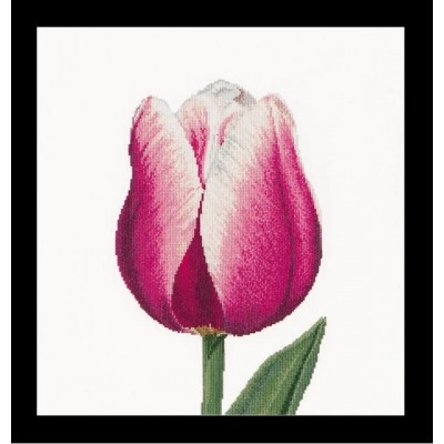 Набір для вишивки хрестом Thea Gouverneur 517А Red/White Triumph tulip (Аїда) Набір для вишивки хрестом Thea Gouverneur 517А Red/White Triumph tulip (Аїда)