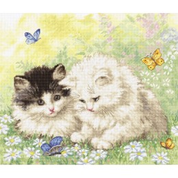 Набір для вишивання хрестиком - LETISTITCH - LETI 954 Summer play time Набір для вишивання хрестиком - LETISTITCH - LETI 954 Summer play time