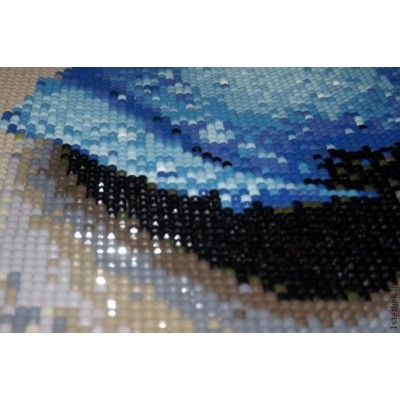 Алмазний живопис diamond painting