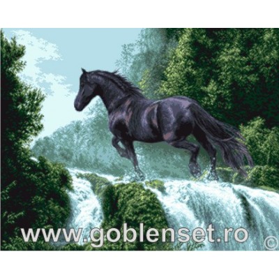 Вышивка гобеленовым швом - Goblen Set - G961 Черный Красавец Вышивка гобеленовым швом - Goblen Set - G961 Черный Красавец