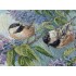 Набор для вышивки крестом - Dimensions - 35258 Chickadees and Lilacs (Синицы и сирень) Набор для вышивки крестом - Dimensions - 35258 Chickadees and Lilacs (Синицы и сирень)