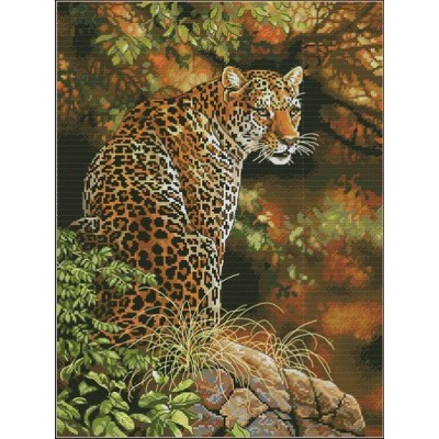 Набор для вышивки крестом - Dimensions - 35209 Leopard's Gaze (Взгляд леопарда) Набор для вышивки крестом - Dimensions - 35209 Leopard's Gaze (Взгляд леопарда)